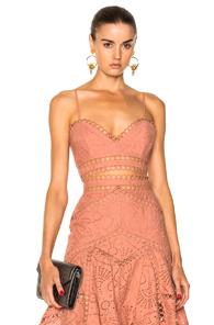 Zimmermann Jasper Fan Bralette In Pink