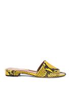 Paris Texas Snake Flat In Yellow,animal