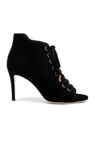 Jimmy Choo Velvet Mavy Booties In Black