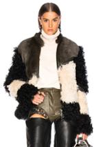 Beau Souci Seal Jacket In Black,green,white