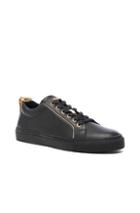 Balmain Gold Piping Leather Sneakers In Black