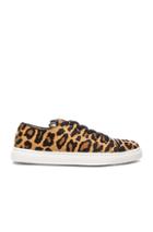 Charlotte Olympia Tomcat Low Top Pony Hair Sneakers In Brown,neutrals,animal Print