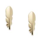 Fossil Feather Studs  Jewelry - Jf02772710