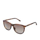Fossil Lindenwood Rectangle Sunglasses  Accessories - Fos3082s0086