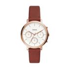 Fossil Sylvia Multifunction Terracotta Leather Watch  Jewelry - Es4434