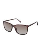 Fossil Lofland Rectangle Sunglasses  Accessories - Fos3081s0n9