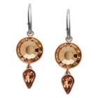 Fossil Peach Sparkling Rose Gold-tone Stainless Steel Earrings  Jewelry - Jof00413791