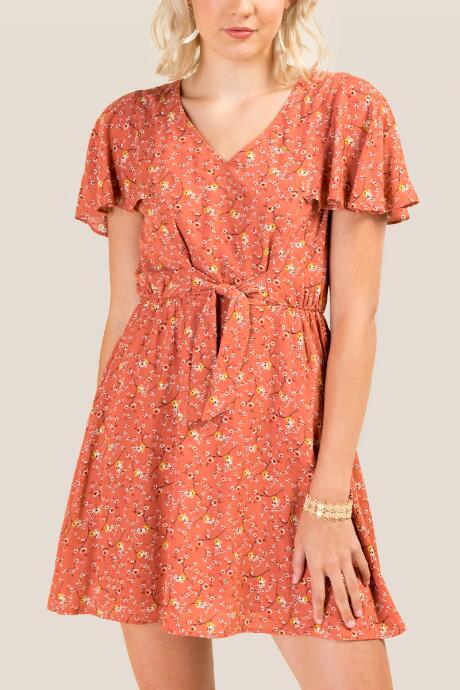Francesca's Judy Floral A-line Dress - Rose