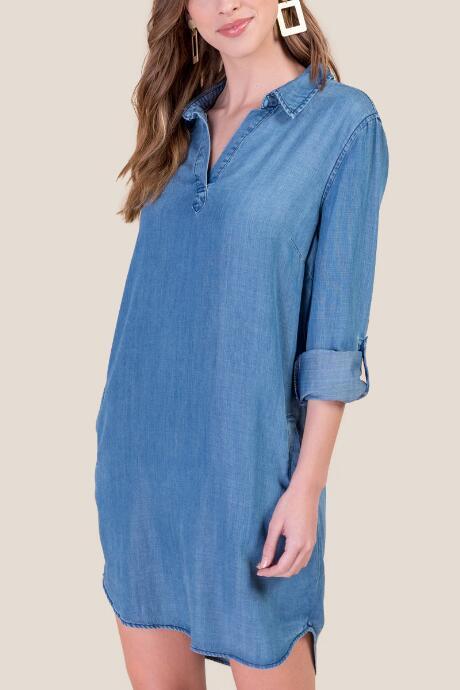 Francesca's Alexandra Denim Shift Dress - Chambray