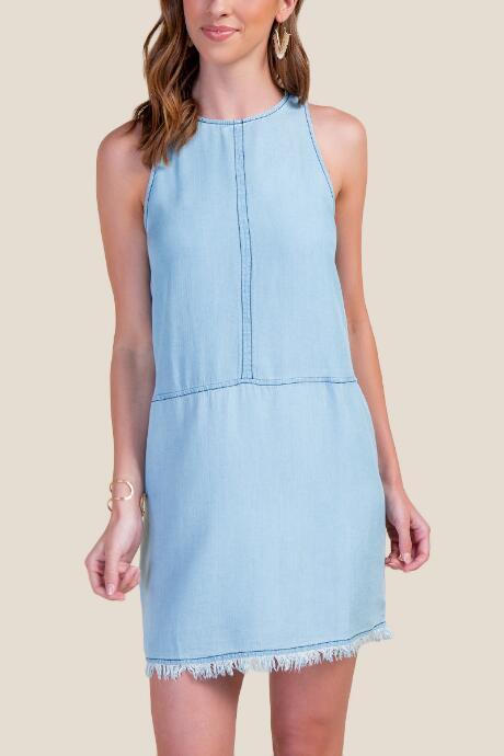 Francesca Inchess Jess Chambray Shift Dress - Chambray