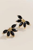 Francesca's Tara Cubic Zircona Fan Studs In Black - Black