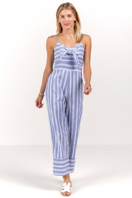 Francesca's Kim Striped Jumpsuit - Light Blue