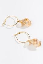Francesca's Layla Seashell Drop Earrings - Brown