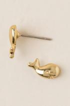 Francesca's Nantucket Whale Stud Earring - Gold