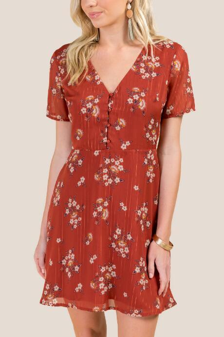 Francesca's Danielle Floral A-line Dress - Cinnamon