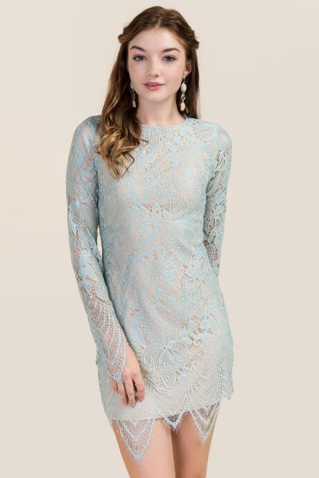 Francesca's Aerin Scalloped Lace Dress - Light Blue