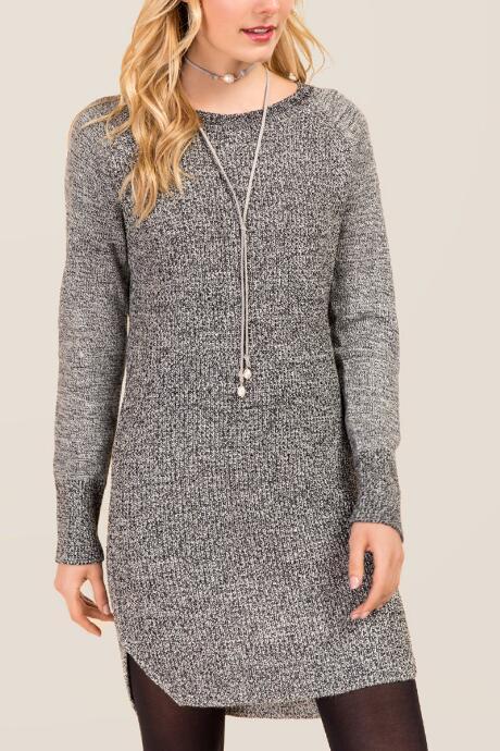 Alya Hayden Crew Neck Sweater Dress - Gray