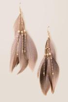 Francesca's Taissa Feather And Chain Drop Earrings - Mauve