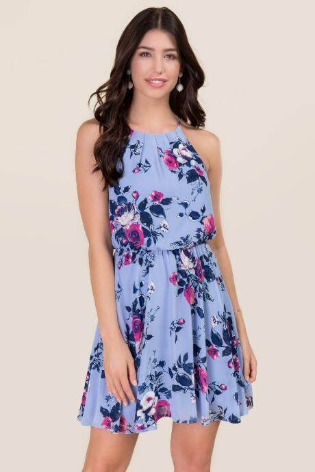 Francesca's Mary Floral A-line Dress - Oxford Blue