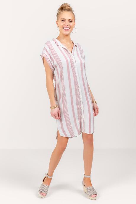 Francesca Inchess Nora Shirt Dress - Rose