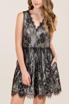 Francescas Gillian Shimmer Lace A-line Dress - Black