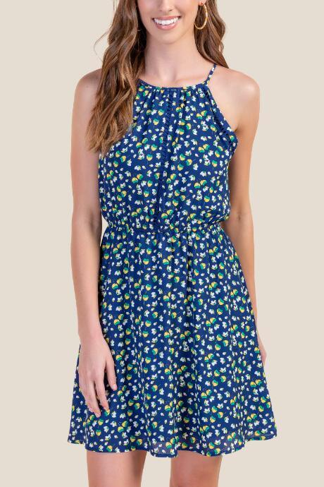 Francesca's Caroline Floral A-line Dress - Navy