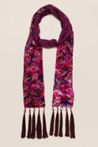 Francesca's Misty Floral Velvet Scarf - Burgundy