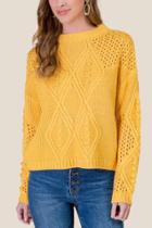 Francesca's Mckenzie Pointelle Sweater - Sunshine
