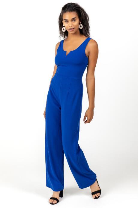 Francesca's Ballie Solid V Jumpsuit - Blue