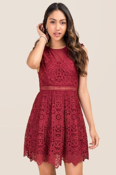 Francesca's Tricia Crochet Lace A-line Dress - Wine