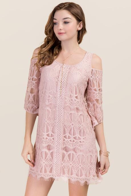 Francesca's Chrissy Cold Shoulder Lace Shift Dress - Mauve