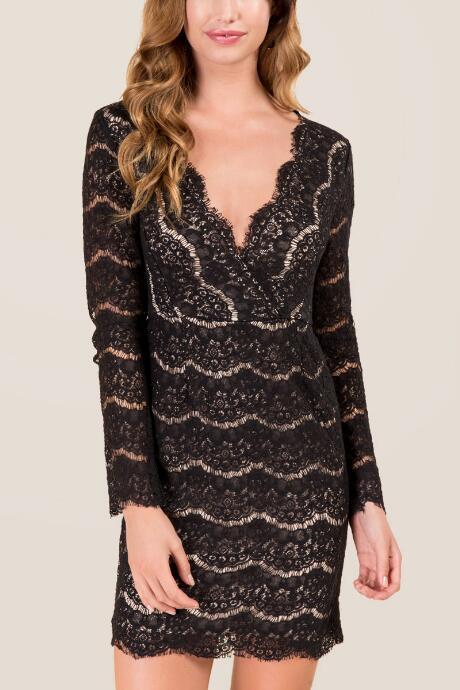 Francescas Kiara Surplus Lace Sheath Dress - Black