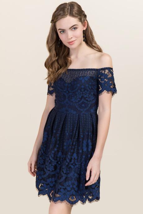Francesca's Livia Floral Lace A-line Dress - Navy