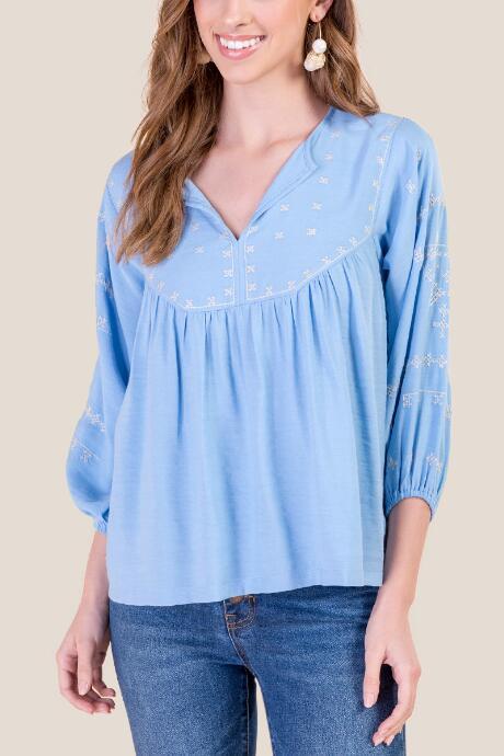 Francesca's Angela Embroidered Blouse - Chambray