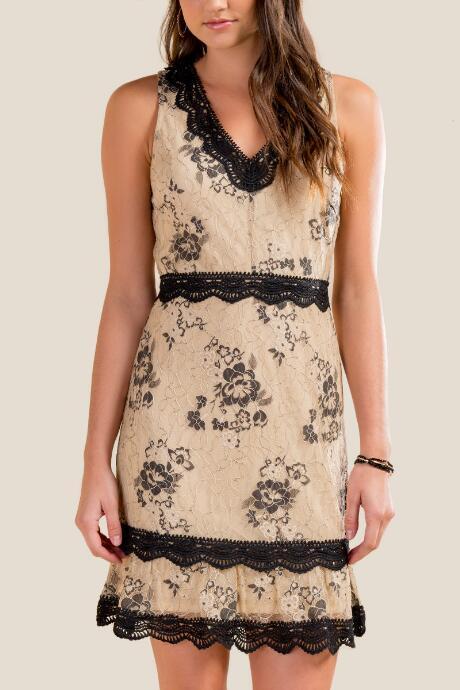 Francesca's Riley Two Tone Lace Dress - Nude