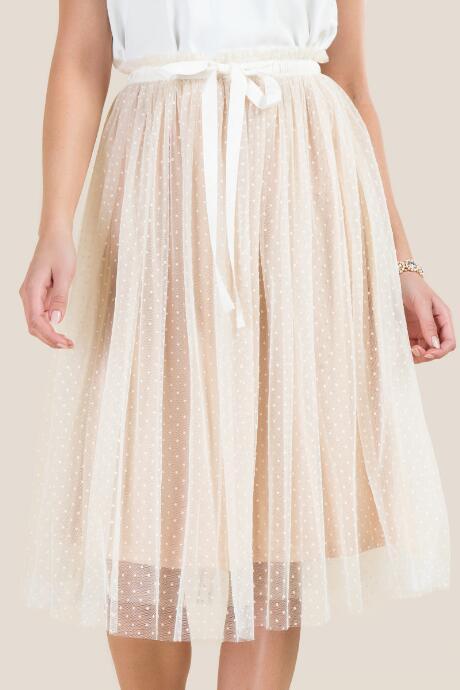 Francesca's Evie Swiss Dot Tulle Skirt - Ivory