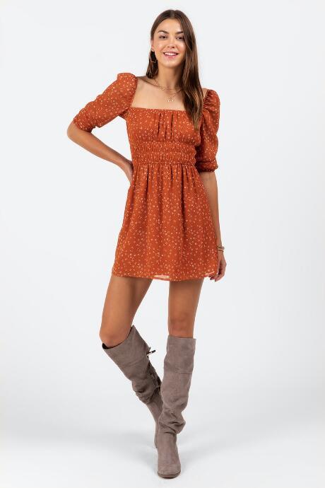 Francesca's Edina Ditsy Floral Dress - Rust