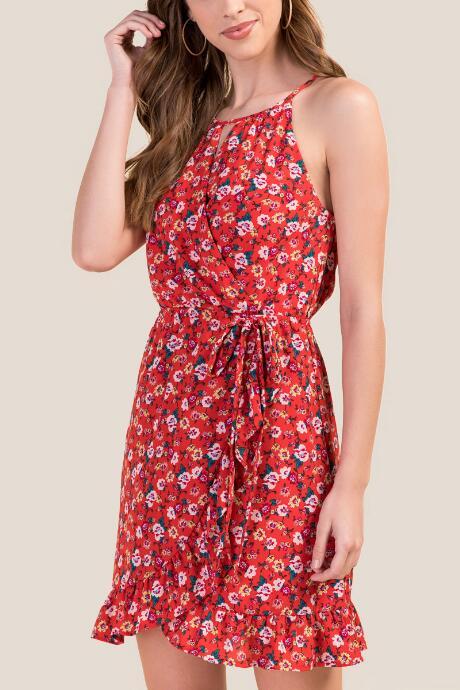 Francesca's Daria Floral A-line Dress - Bright Red