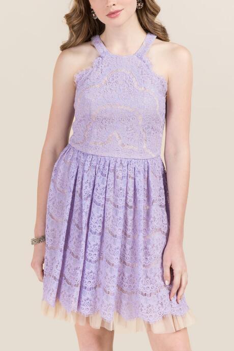 Francesca's Eloise Lace Open Back Tulle A-line Dress - Orchid