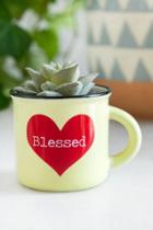 Francesca's Blessed Mini Mug Succulent