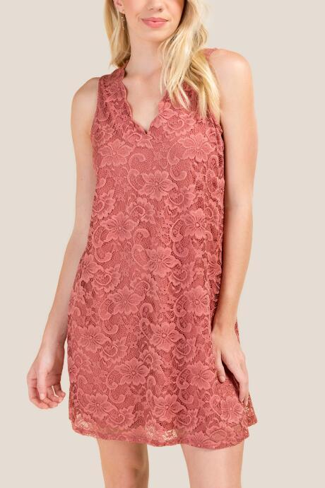 Francesca's Wren Gigi Scallop Open Back Lace Shift Dress - Rose