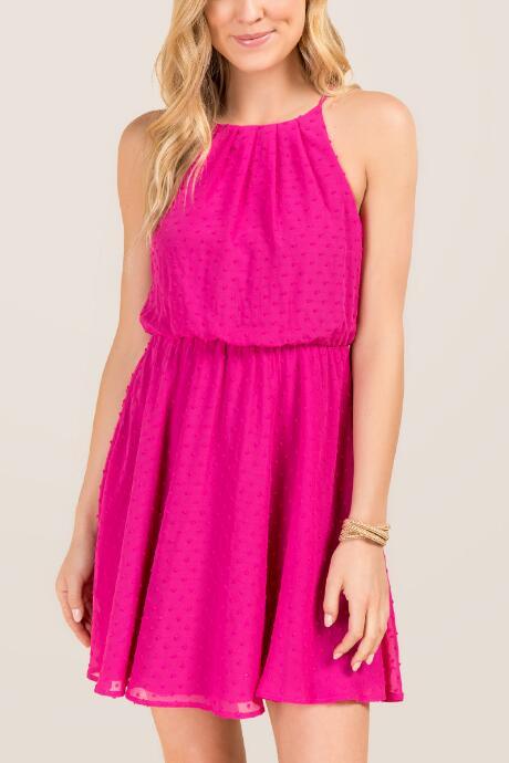 Francesca's Astra Swiss Dot Solid A-line Dress - Fuchsia