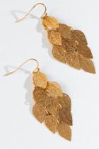 Francesca's Rachel Filigree Leaf Drop Earrings - Gold