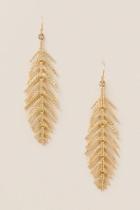 Francesca's Wren Statement Feather Earrings - Gold