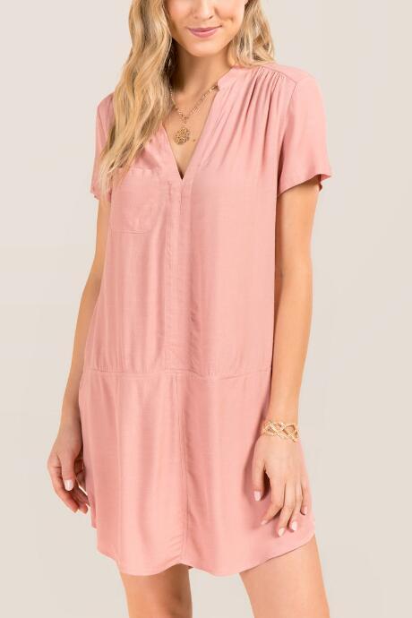 Francesca Inchess Jaya V-neck Shift Dress - Rose
