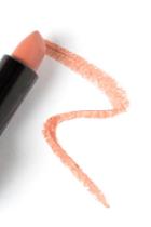 Lapcos Nude Pink Touch Up Lipstick