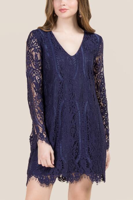 Francescas Corina Lace Shift Dress - Navy