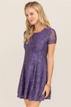 Francesca's Hilda Lace A-line Dress - Vintage Purple