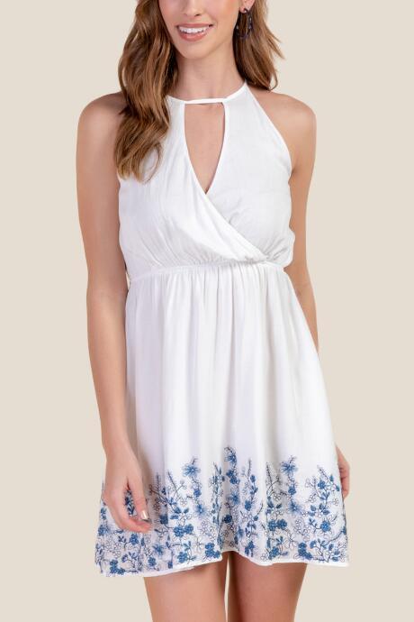 Francesca's Cindy Floral Border A-line Dress - Ivory