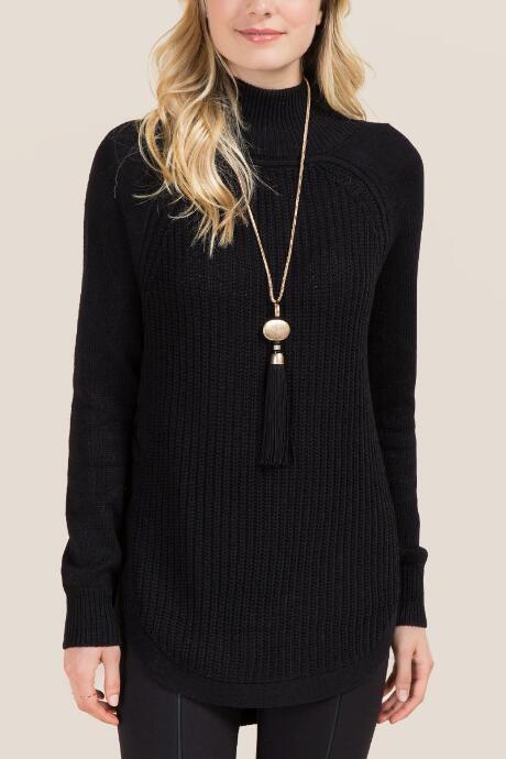 Alya Carley Turtleneck Pullover Sweater - Black